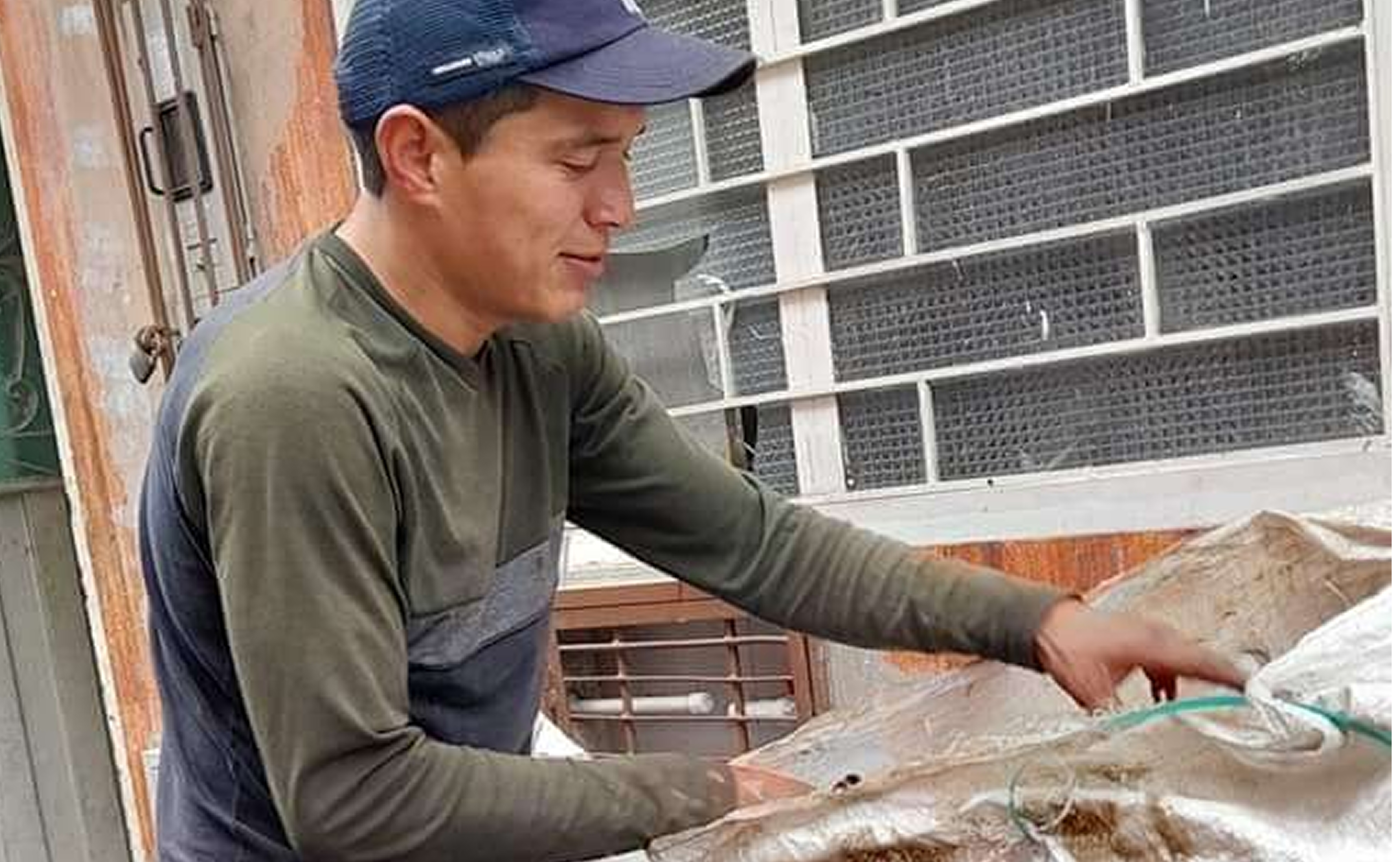 Emprendedores trabajando
